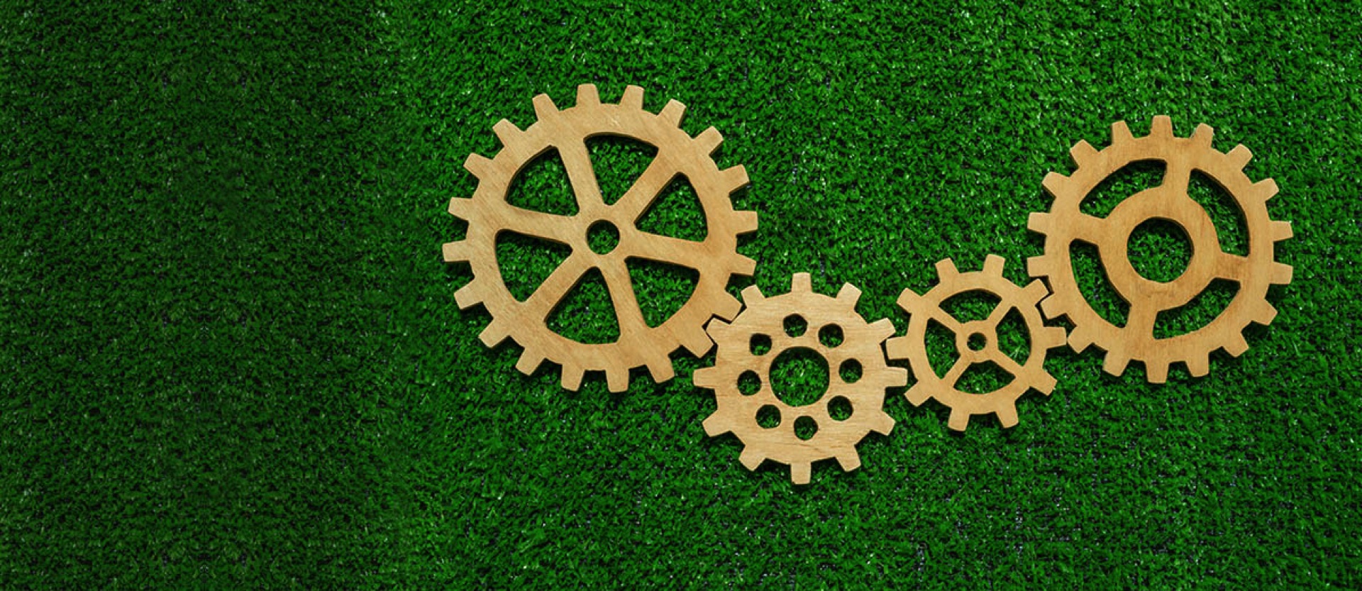 Our mission  a balanced ecosystem